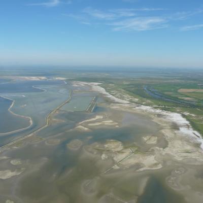 La Camargue